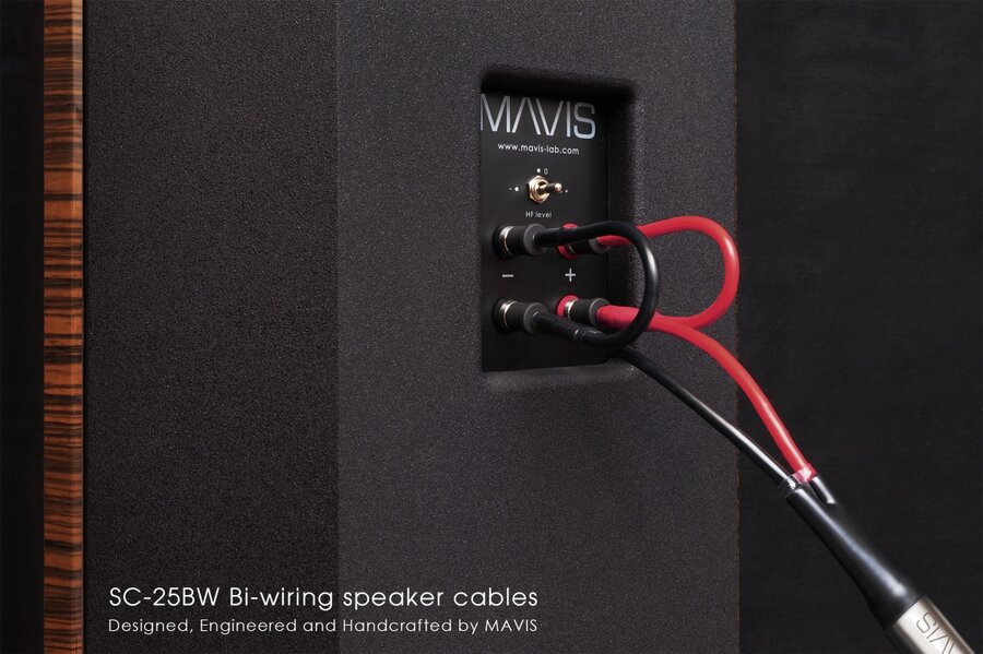 SC-25BW-Bi-wiring2.jpg