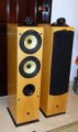 Wharfedale  Pacific Pi 30 speakers_small.JPG