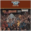 marvin gaye i want you vinyl lp.jpg