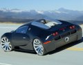 bugatti-veyron-2_fin1.jpg
