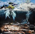 john frusciante the empyrean vinyl lp.jpg