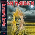 iron maiden vinyl lp.jpg