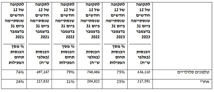 פילוח הכנסות מוצרים ושירותים