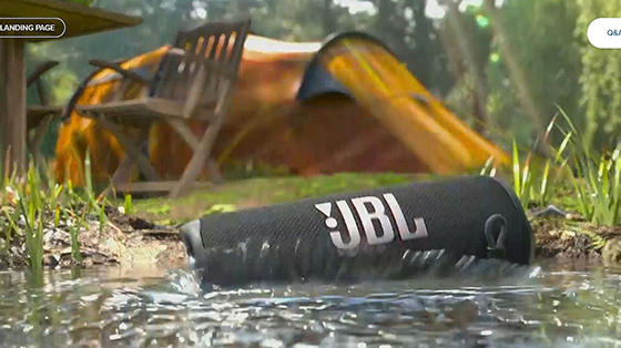 JBL Flip 6